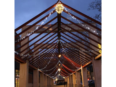 Festilight Blinkende LED Guirlande IP66 10M i kold hvid - Hvidt kabel