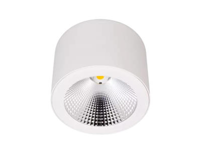 Downlight påbyg Ø210  840 70 gr.