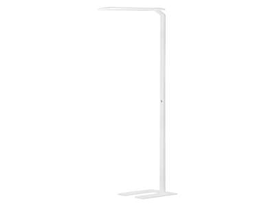 Floor Home Office 43W 840