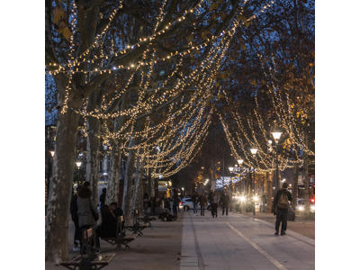 Festilight Blinkende LED Guirlande IP66 10M i Varm Hvid