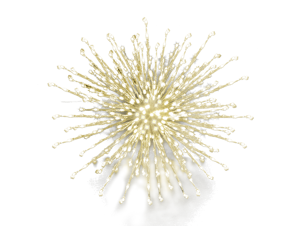 Festilight LED Romance Bouquet IP44 - ø50 Varm Hvid
