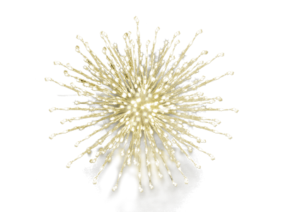 Festilight LED Romance Bouquet IP44 - ø50 Varm Hvid
