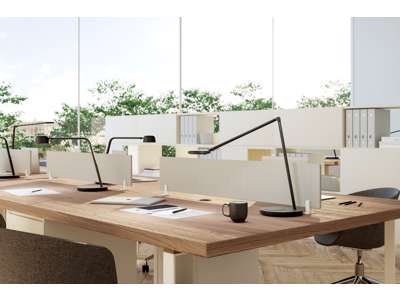 Motus Flat Sort