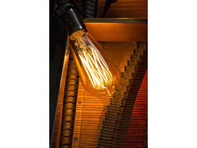 Danlamp Edison Gold LED 4W (25W) 2000K E27 | Dæmpbar