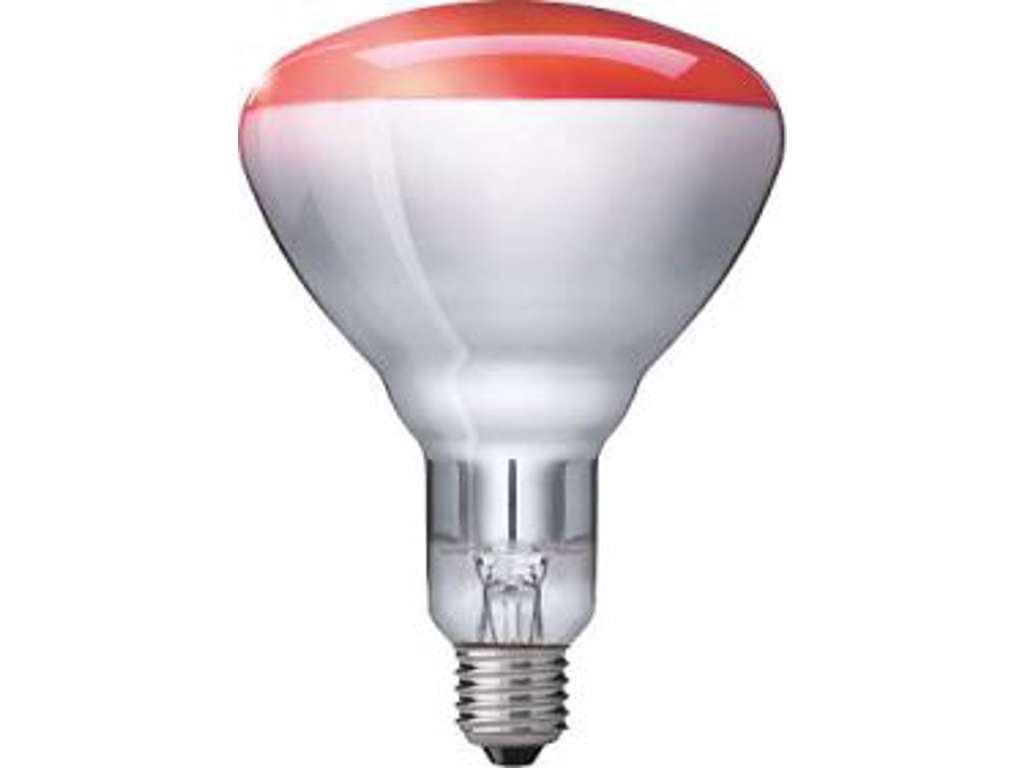 Philips PAR38 IR 100W E27 240V Rød 1CT/12 Varmelampe