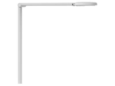 Motus Flat Hvid
