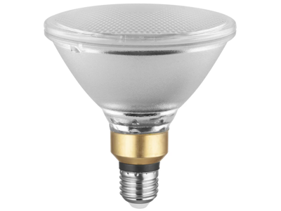 Ledvance Performance LED Par38 13,5W (120W) 2700K E27