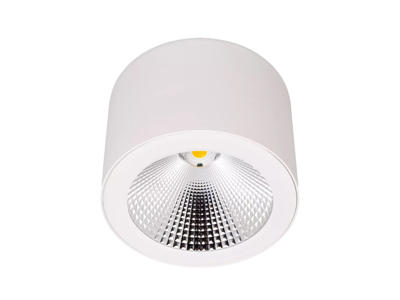 Downlight Philips Påbyg Ø220 4000K
